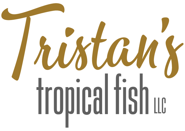 Tristan's Tropical Fish